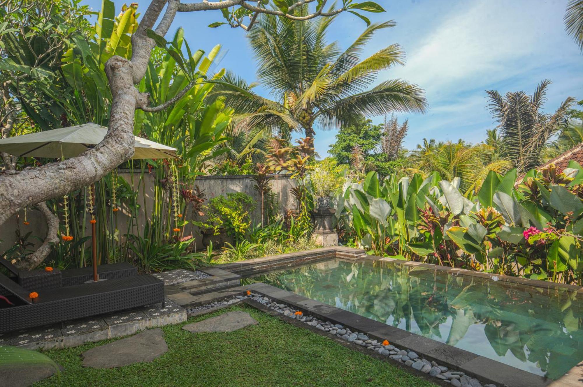 Taluh Bebek Ubud Private Villas Экстерьер фото