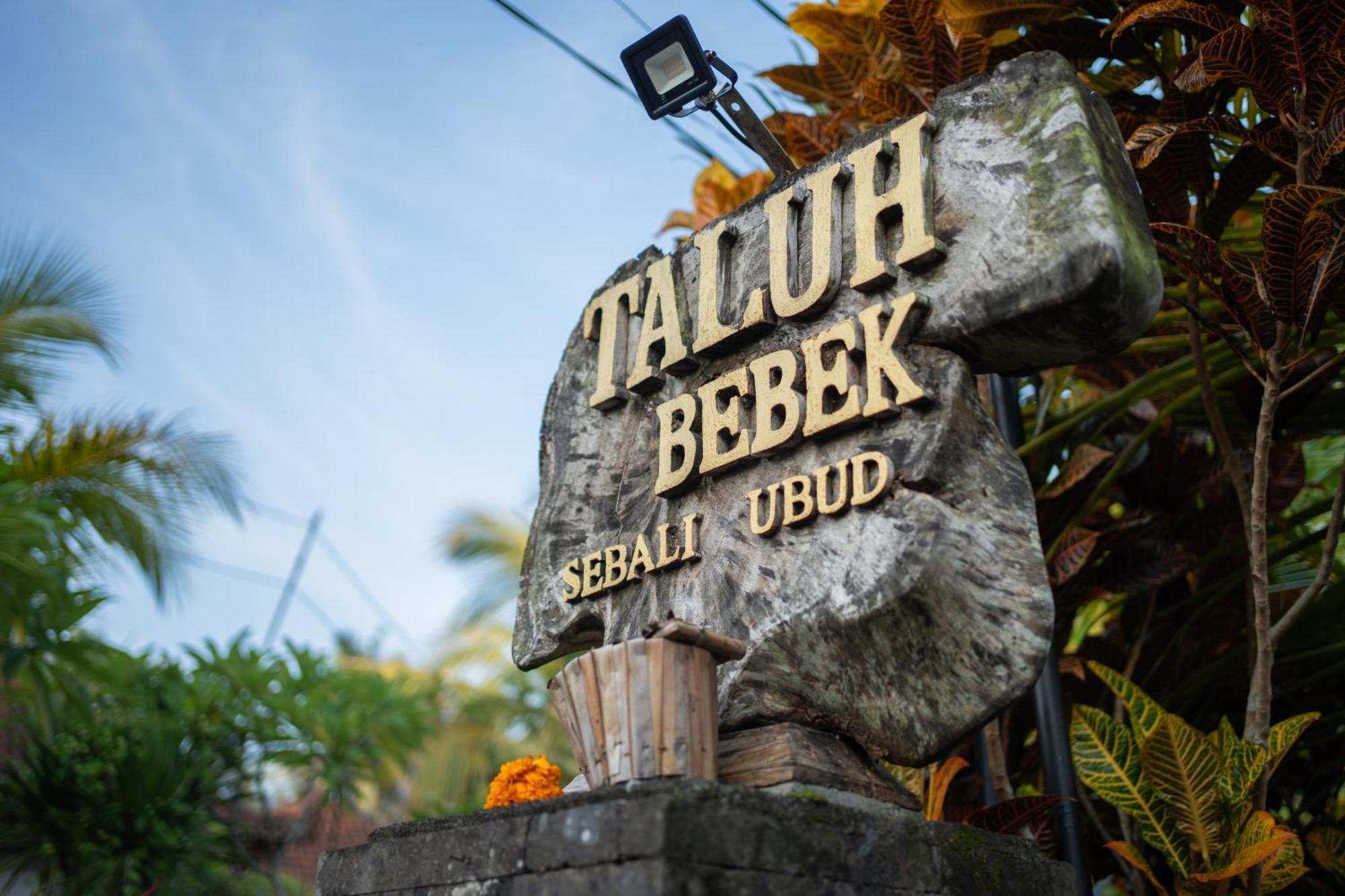 Taluh Bebek Ubud Private Villas Экстерьер фото